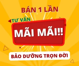 Ac Quy Binh Duong 2